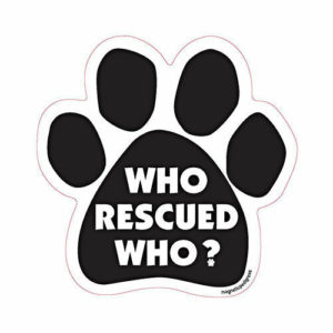 Arran Liddel "Who Rescued Who?"