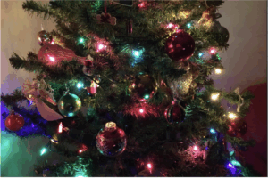 Sunday December 21st – Join us for a joyful gathering. Topic: Winter Solstice Quiet Celebration @ Norway House