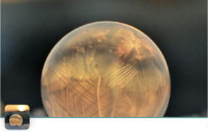 Sunday January 25th – Join us for a joyful gathering. Topic: Life is a Wonder (part of the series MMiLT) @ Norway House @ Norway House @ Norway House