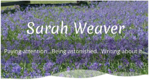 Sunday March 1st – Join us for a joyful gathering. Topic:  A Conversation with Sarah Weaver – Choosing Curiosity Over Judgment. @ Norway House