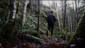 Sunday June 14th – Join us for a joyful gathering. Topic: Saving the Hidden Ravine, Environmental Protection at a Grassroots Level @ Friendship Hall